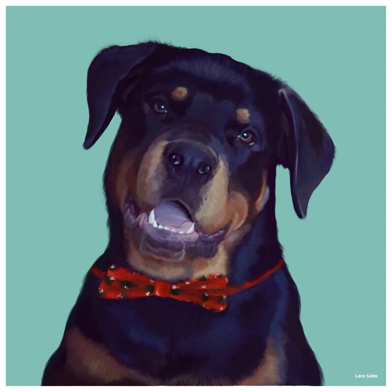 Pet Memorial Cat Portrait Pet Lover Gift Personalized Dog Custom Pet Portrait Dog Portrait Dog Illustration Illustration Cat Pet Art