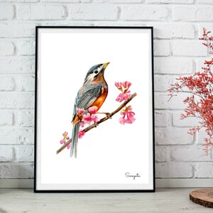 Printable bird art print, Bird and flower painting, cherry blossom tree bird watercolor instant download, robin bird,