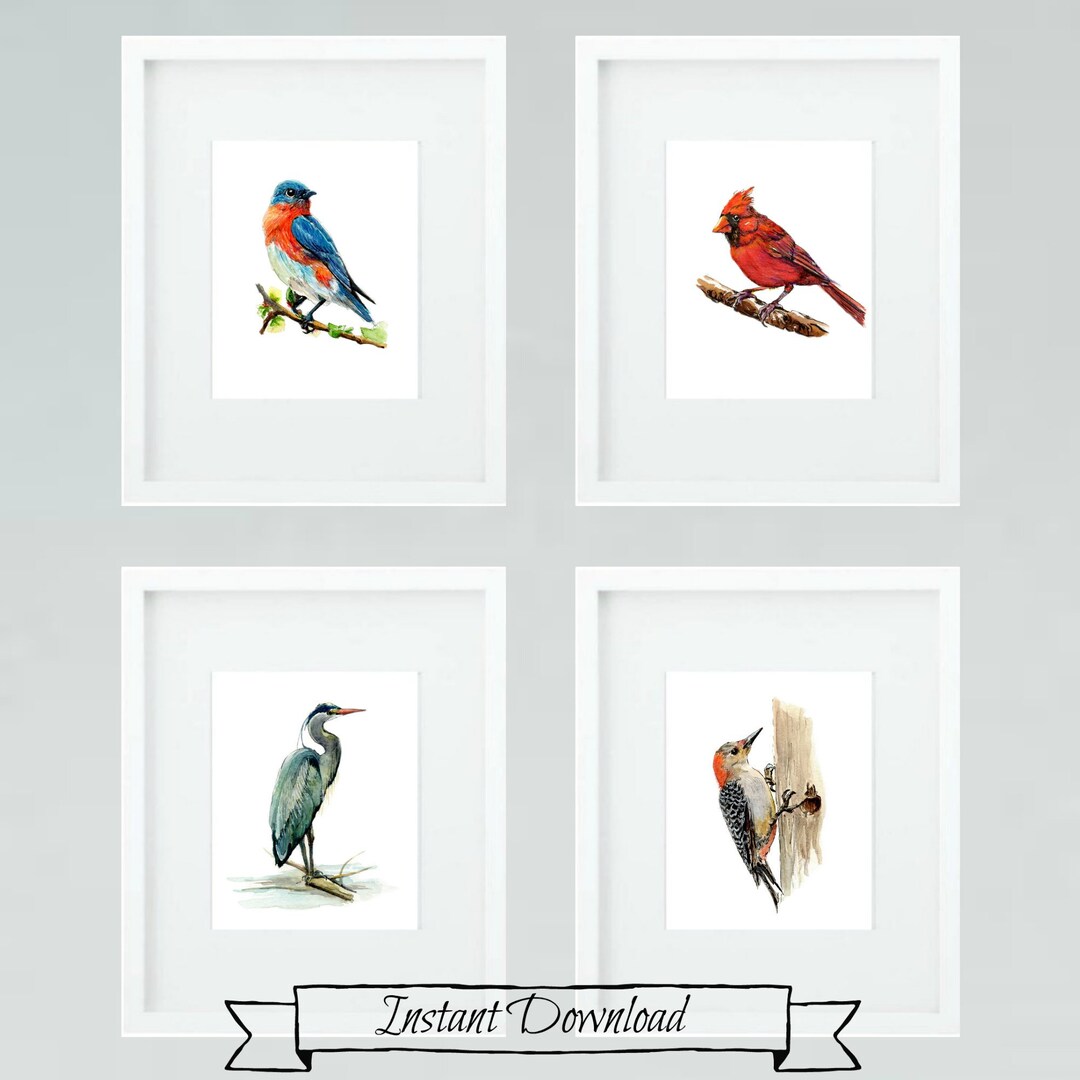 Set of 4 Bird Prints Four Watercolor Birds Downloadable Etsy