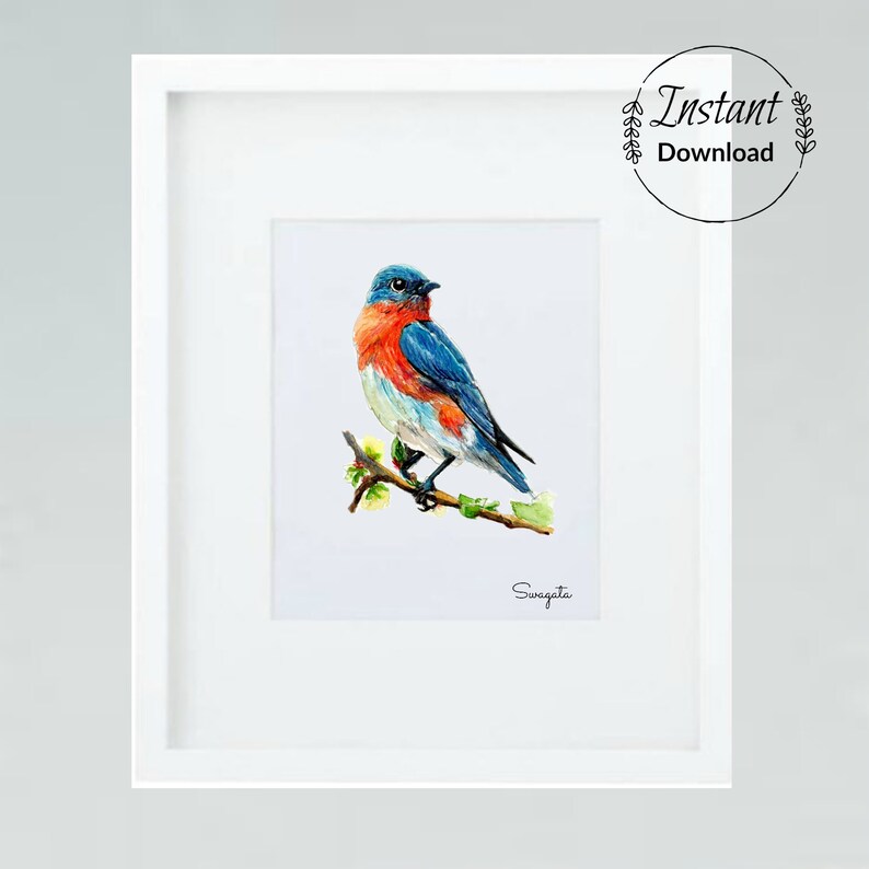 Eastern Bluebird Watercolor Painting Digital Download 5X7 & - Etsy