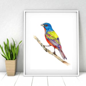 Bunting watercolor painting, Digital Download, Painted bunting bird print, colorful bird, bird lover gift, 5X7inches, 8X10 inches