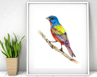 May include: Watercolor painting of a colorful bird perched on a branch. The bird has a blue head, green body, red wings, and a long tail. The background is white.