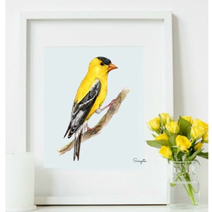 American Goldfinch watercolor painting,   Digital download, 5X7inches, 8x10inches  bird print wall art