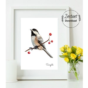 Op de afbeelding: Een aquarel van een zwartkopmees die op een tak zit met rode bessen. De vogel kijkt naar rechts en heeft een witte borst en een zwarte dop. De aquarel is rechtsonder getekend met "Swagata".