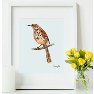 Brown Thrasher watercolor painting, Digital Download, Bird print wall art, brown bird print, mocking bird, Georgia state bird