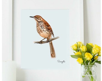 Brown Thrasher watercolor painting, Digital Download, Bird print wall art, brown bird print, mocking bird, Georgia state bird