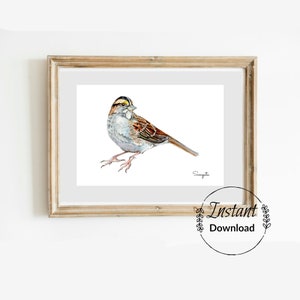 Sparrow watercolor painting, Digital download, 5X7 & 8X10inch prints, Watercolor bird painting, Bird lover gift