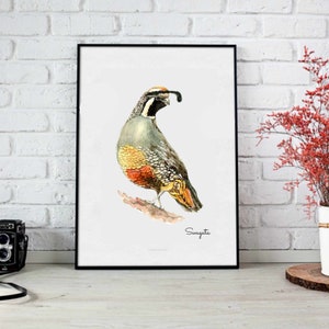 California Quail watercolor painting, digital download, California state bird, bird print wall art, animal watercolor painting, game bird