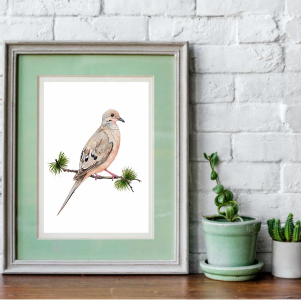 Mourning Dove watercolor painting, digital download, Dove print wall art, Handmade gift for bird lovers