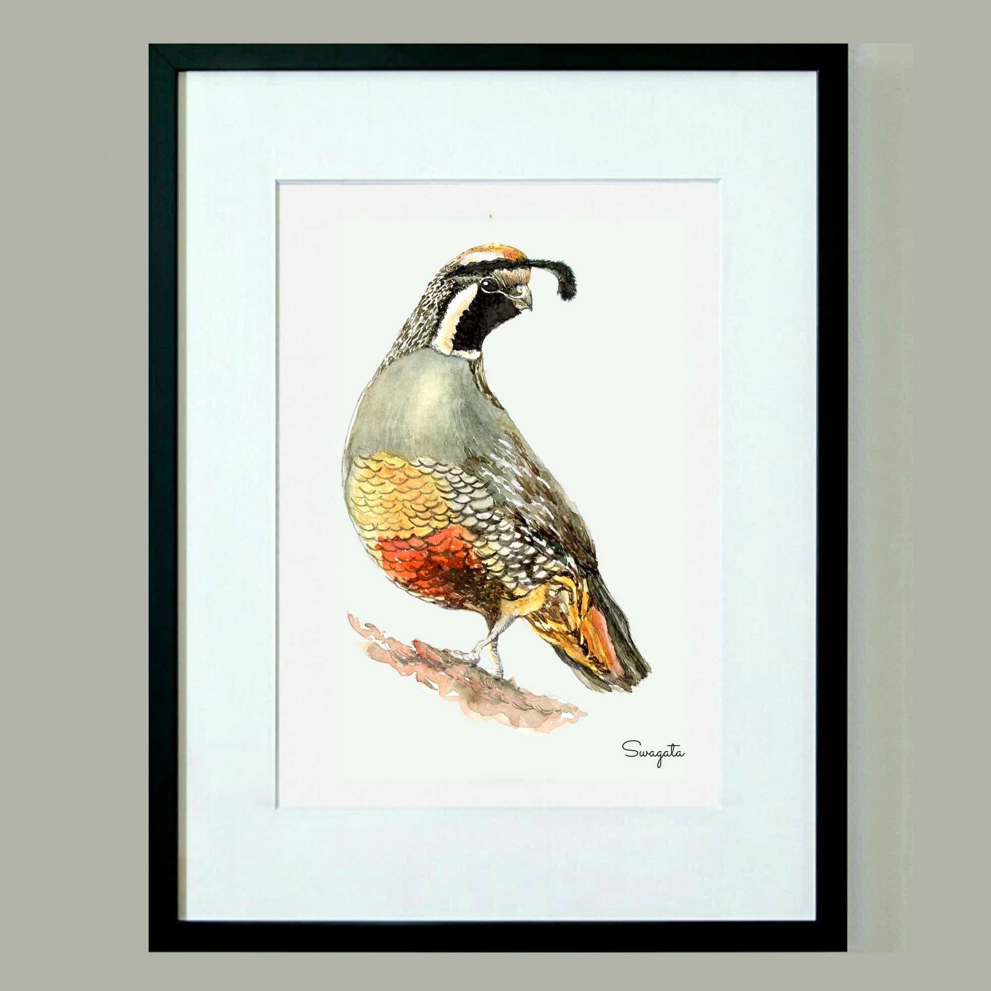 California Quail Watercolor Painting, Digital Download, California