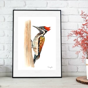 Woodpecker original bird painting. Digital download wall art.