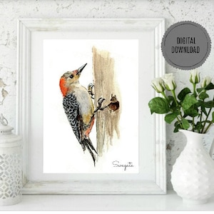 Woodpecker painting, Digital download, Watercolor bird, bird printable wall art, 5X7 & 8X10 print, Gift for bird lover, gift for her