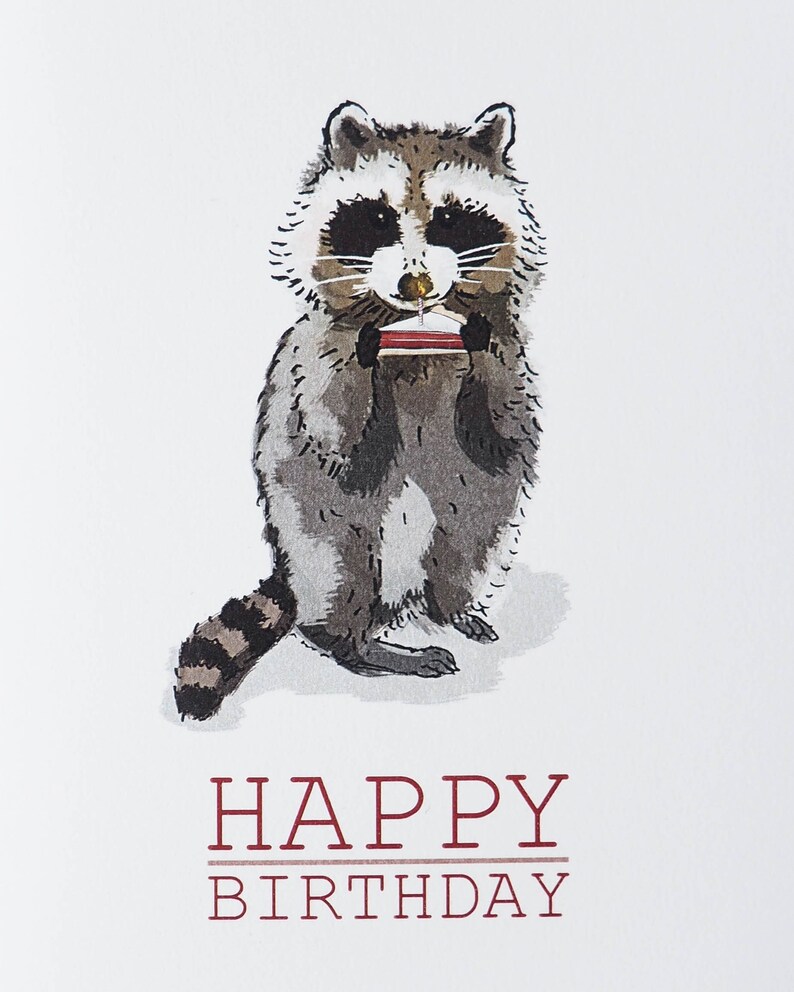 Raccoon Birthday Card - Etsy
