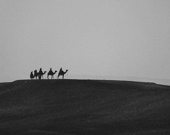 Kamele über der weiten Wüste Ägyptens (Schwarz & Weiß) - Druck, Rahmen, Leinwand für Wanddekoration