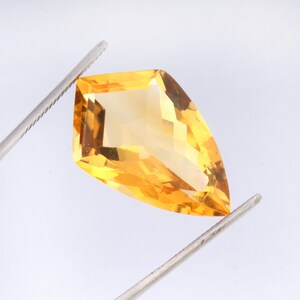 Könnte beinhalten: Ein facettierter, drachenförmiger gelber Edelstein, der von einer silberfarbenen Metallpinzette gehalten wird. Der Stein hat einen durchscheinenden, goldgelben Farbton mit geometrischen Facetten, die das Licht reflektieren.