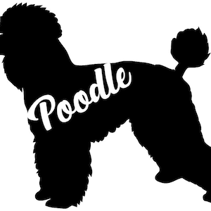 Caniche SVG, JPEG, PNG, silhouette de caniche svg, silhouette de caniche, fichier coupé cricut, svg de silhouette de chien