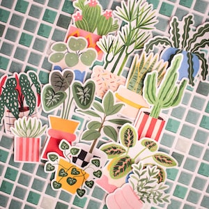 Peut inclure: Une collection d'autocollants découpés représentant diverses plantes d'intérieur en pot, notamment des cactus, des succulentes et des plantes à feuilles vertes dans des contenants colorés et à motifs, disposés en un groupe dispersé.