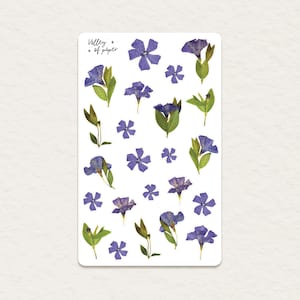 Stickervel "Little Periwinkles" voor bullet journaling, scrapbooking, art journaling en het maken van kaarten.