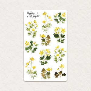 Feuille d'autocollants « Chélidoine » pour bullet journal, scrapbooking, art journal, carterie