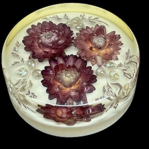 Vintage Round Clear Lucite Paperweight Dried Flowers and Sea Shells by Sheila Rowse*READ USA BUYERS*