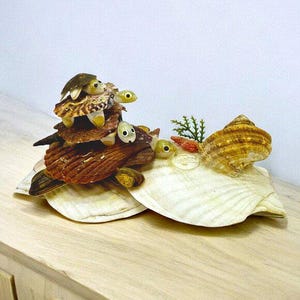 Vintage Sea Shell Art Sculpture Turtles Bopping Heads Beach Decor Novelty Figurines *read