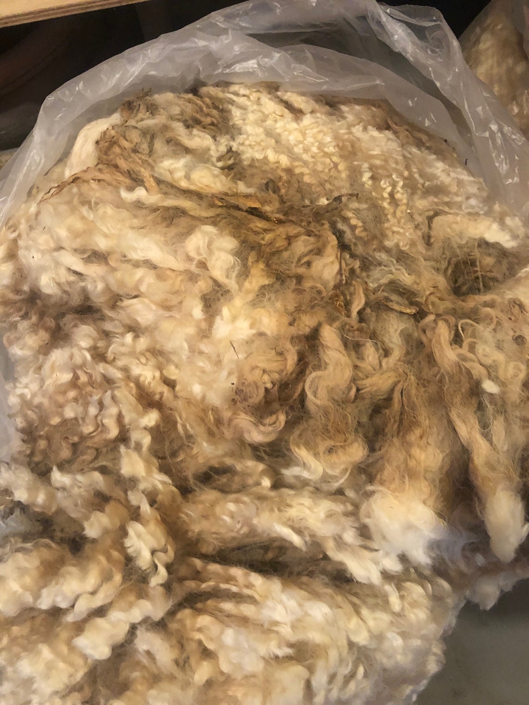 Raw Lincoln Ewe Fleece Etsy