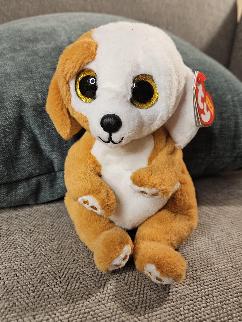 TY Beanies Baby. Beanie Bellies Collection. Ruggles Dog. Preowned ...