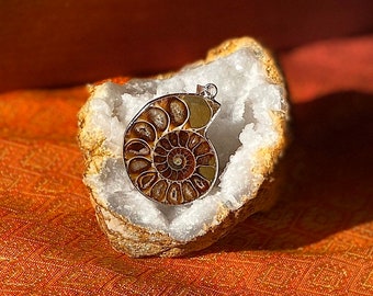 Ammonite Necklace