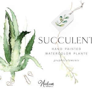 Acuarela Suculentas Elementos Gráficos Clipart, Planta Suculenta pintada a mano, Agave acuarela, Acuarela Aloe Clipart, Clipart Botánico