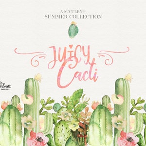 Aquarelle Cactus Clipart - Juicy Cacti Elements - Cactus Clipart - Cactus Arrangements - Cactus Fleurs Clipart - Cactus Fleurs Aquarelle