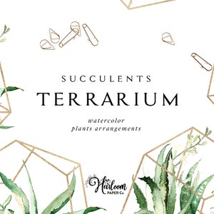 Succulent Terrarium Clipart Set, Watercolor Succulent Arrangement, Golden Terrarium, Watercolor Green Succulent, Greenery Arrangement