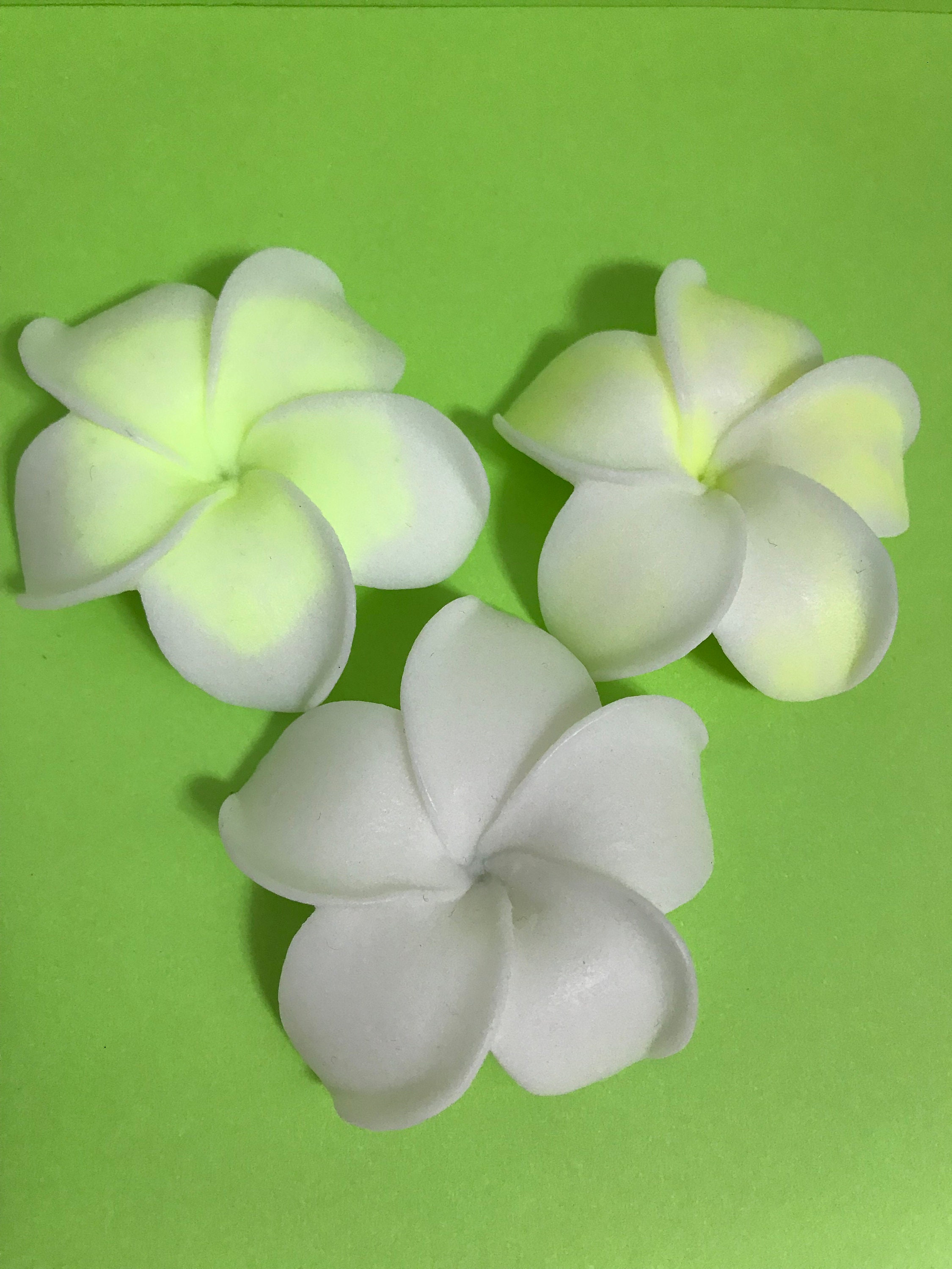 Plumeria Flower Silicone Mold Flower Mold Soap Mold Flower Etsy