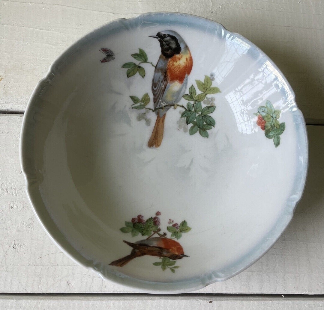 Leuchtenburg Germany Porcelain Bird Serving Bowl 71/2 Etsy