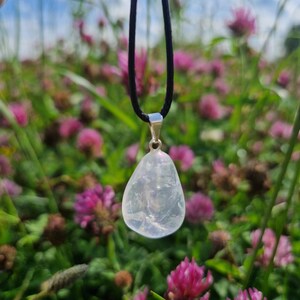 May include: A clear, teardrop-shaped pendant hangs from a black cord. The pendant is attached to a silver-colored bail. The background is a field of green grass and pink clover flowers.
