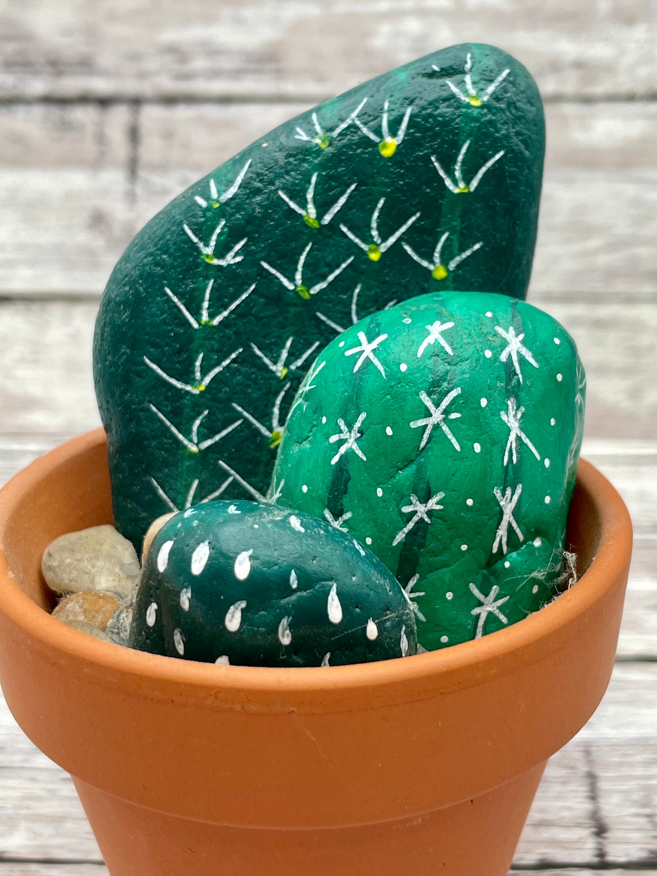 Stein kaktus - Etsy sterreich