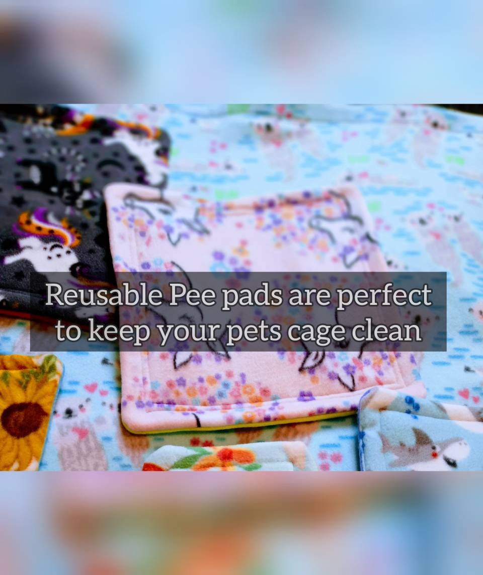 Mystery Pee pad set for Guinea pig skinny pig Rabbit Bunny Etsy