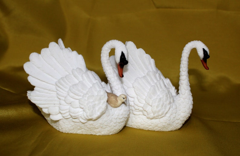 White nice happy Swan family Leonardo collection image 0