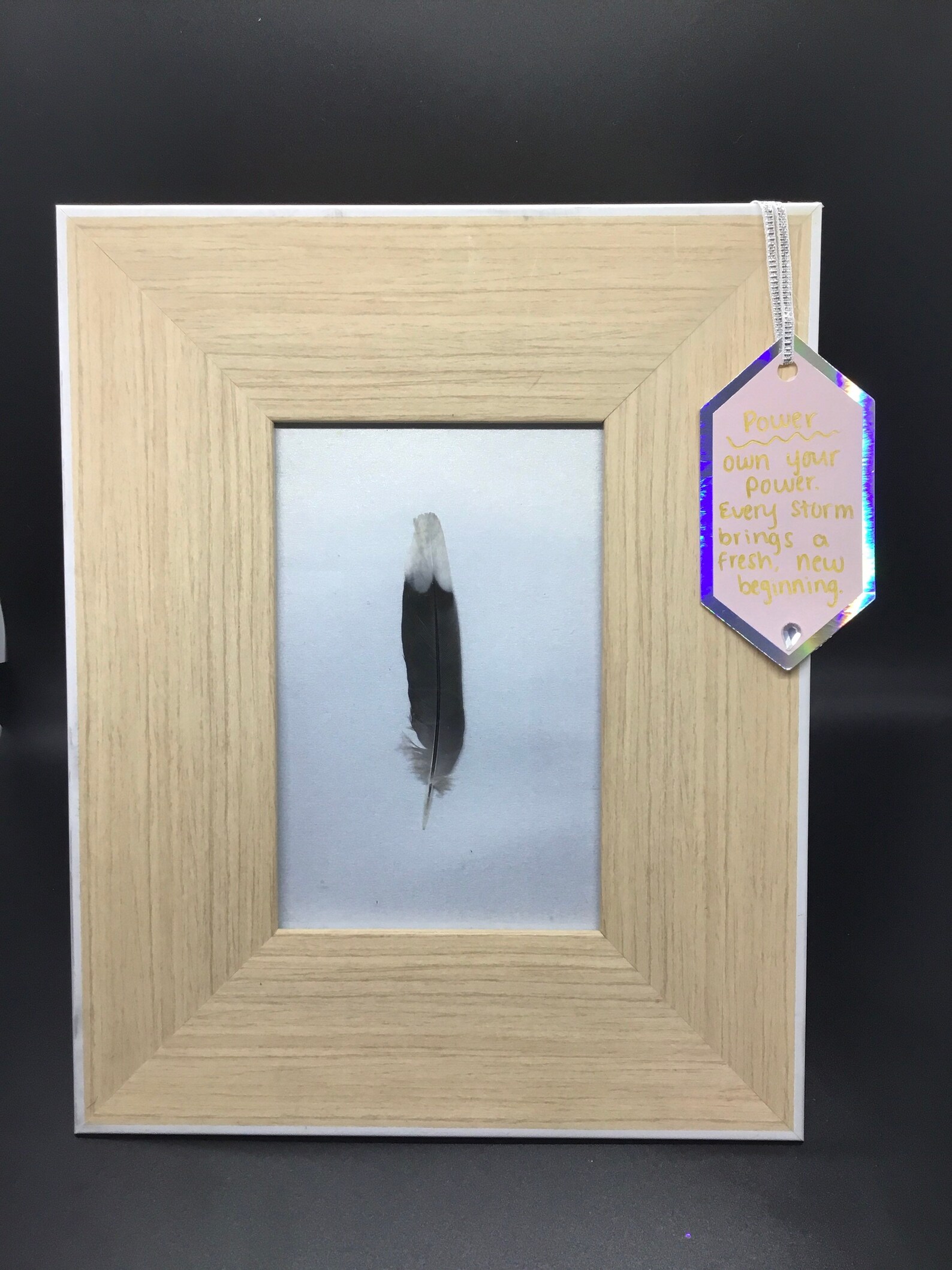Framed Feather Real Feather Art Real Feathers Coastal Decor Etsy
