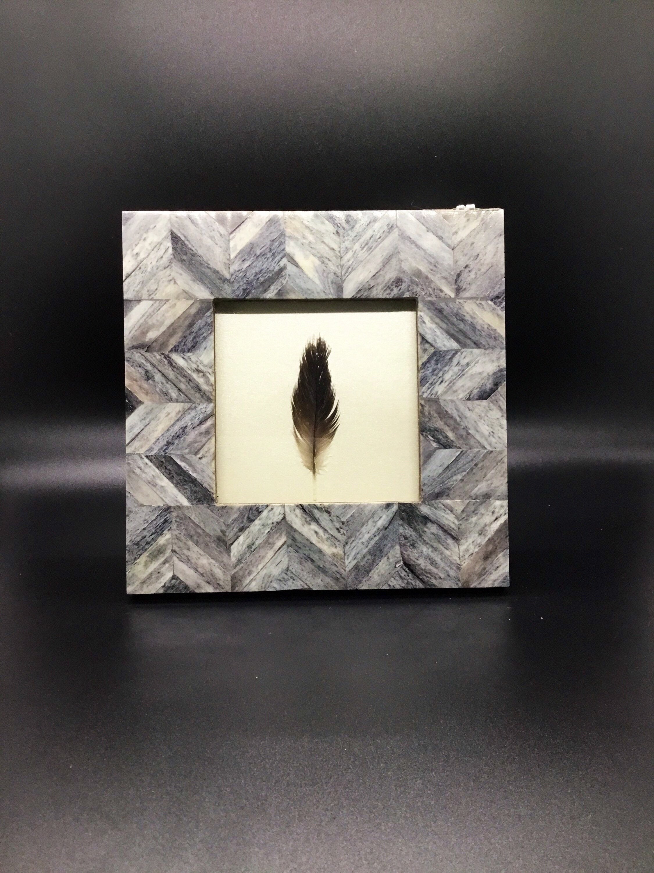 Framed Feather Real Feather Art Real Feathers Coastal Decor Beach House