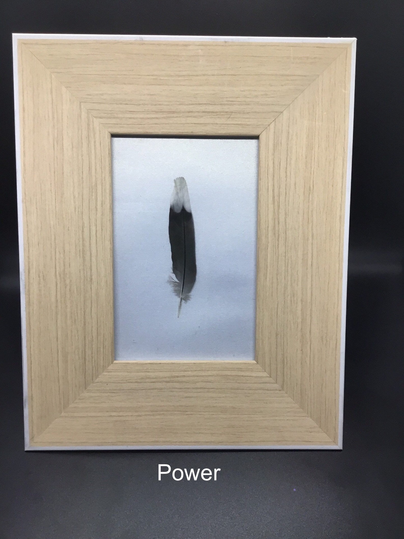 Framed Feather Real Feather Art Real Feathers Coastal Decor Etsy