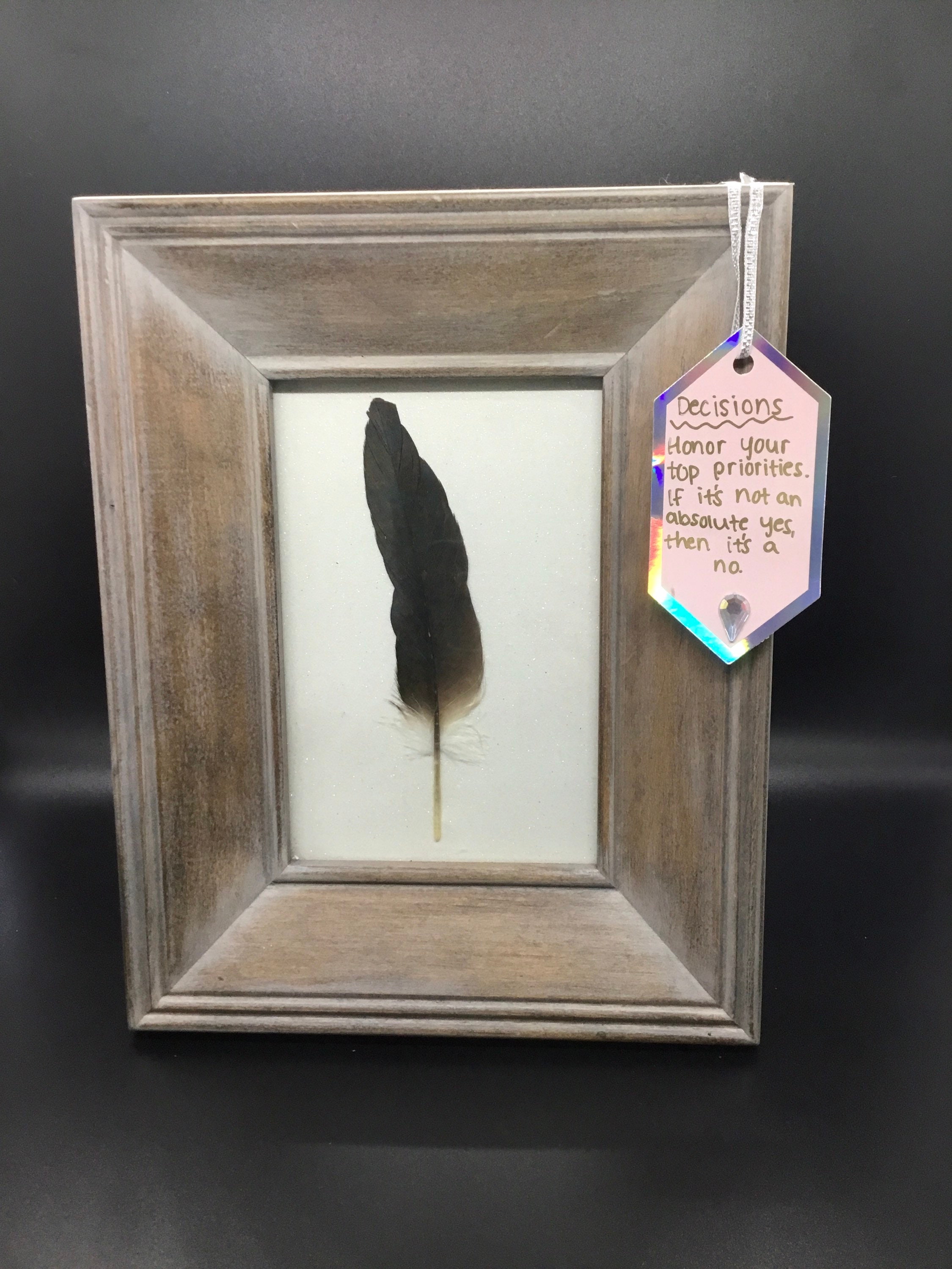 Framed Feather Real Feather Art Real Feathers Coastal Decor Beach House