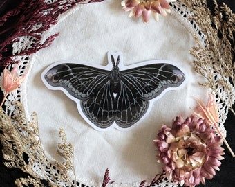 Sticker papillon dark moth