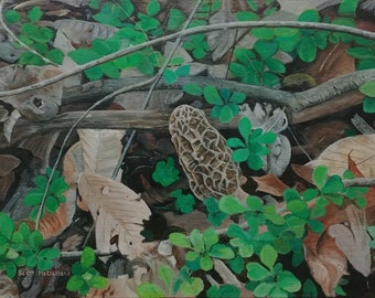 Maryland Art original 11" x 14" painting of a morel mushroom, titled "Hiding In Plain Sight"