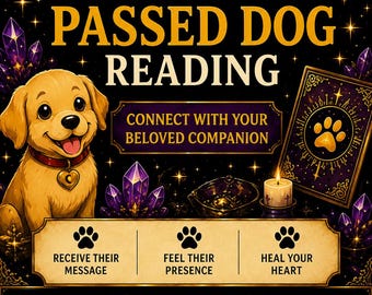 Message From My Passed Dog | Pet Psychic Reading | Rainbow Bridge Message | Animal Communicator | Same Hour