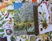 Collagedpatchwork decoupaged glassine envelope filled With vintage hand torn floral pieces by JustJenniJournaling