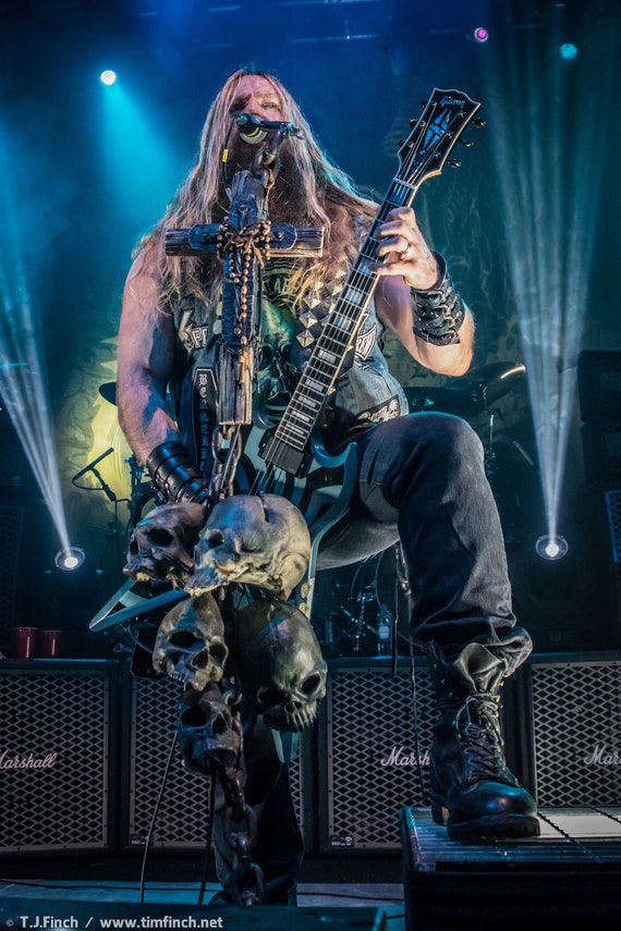 Zakk wylde on sale guitar for sale