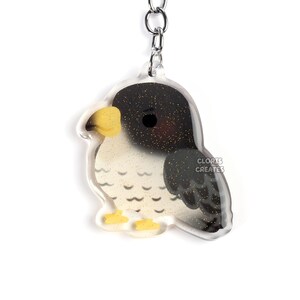 Llavero acrílico de halcón peregrino / Dije de doble cara con purpurina de dibujos animados de raptor chibi / Regalo kawaii para amantes de las aves rapaces exóticas