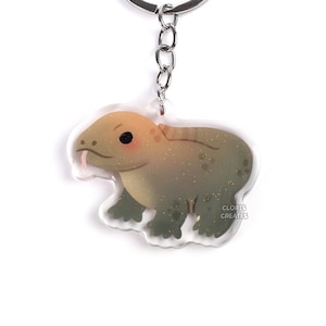 May include: A clear acrylic keychain featuring a cartoon lizard design in shades of green, tan, and brown. The keychain has a silver-colored metal ring and chain. The text "CLORIS CREATES" is printed on the keychain.