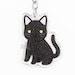 see more listings in the Cats section