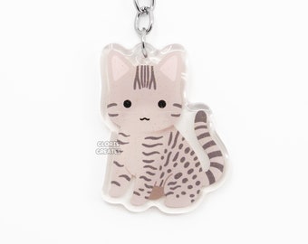 May include: A silver key chain with a clear acrylic charm featuring a cartoon tabby cat with brown stripes. The cat is sitting with its tail curled around its legs.